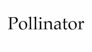 How to Pronounce Pollinator [upl. by Abocaj]