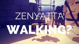 Zenyatta Walking Blizzard Lets You See It OVERWATCH MEME [upl. by Eeimaj168]