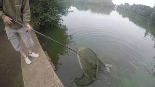 Carp Fishing  Broadwater [upl. by Eran]