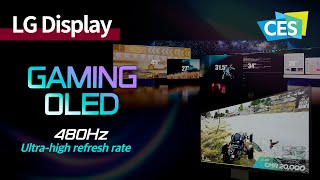 CES 2024 OLED’s first 480Hz ultrahigh refresh rate Highend gaming display  LG Display [upl. by Baggett]