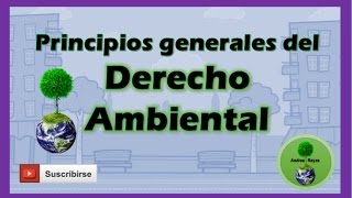 DERECHO AMBIENTAL  Principios Generales [upl. by Wertheimer]