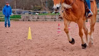 Henning Daude beim quotSeehof Stablequot im März 2016 [upl. by Hcardahs]