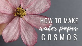 Wafer paper Cosmos flower tutorial  FREE template  Florea Cakes [upl. by Yenffit803]