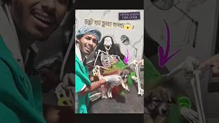 haadi 💀का कुत्ता हुआ😱😱 comedy​ dog​bullterrier pet​ art​ bailgada​ bulls​ dogsofinstag [upl. by Osswald]