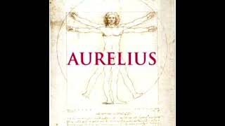 Aurelius  Mastery of The Self [upl. by Garlen]