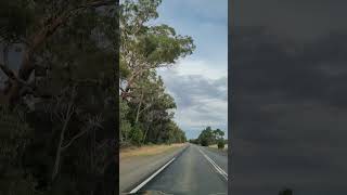 Narrandera to Grong grong [upl. by Edwin]