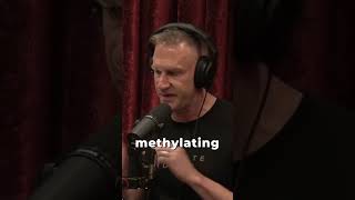 Everyone Should Take A Methylated Multivitamin with Gary Brecka and Joe Rogan [upl. by Elsey]