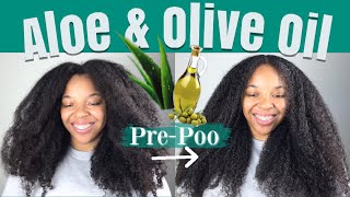 How I PREPOO my Hair with ALOE VERA and OLIVE OIL Updated Routine [upl. by Ybbil]