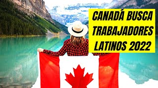 CANADÁ BUSCA EMPLEADOS 2022 ✈️ EMPLEO PARA LATINOS EN CANADÁ NECESITA TRABAJADORES 🟥⬜🟥 [upl. by Shah521]