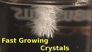 Fast Growing Crystals in Sodium Acetate [upl. by Tewfik]