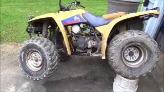 Fixing the Oil Leak Yamaha YFB250 Timberwolf ATV Project Part 3 [upl. by Culhert]