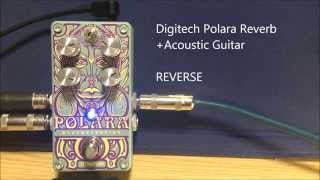 Digitech Polara ReverbAcoustic Guitar [upl. by Araz250]