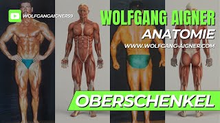 03  Anatomie des Oberschenkels Beweglichkeit testen amp verbessern mit Wolfgang Aigner [upl. by Blayze]