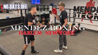 MENDEZ BOXING HARLEM NEW YORK💯🔥🦁 2024  SEBASTIAN TEJADA  NO DAYS OFF 4K [upl. by Ardnoik]