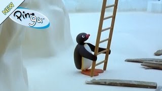 Pingus Disadvantage  Pingu Official Channel [upl. by Petrick]