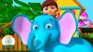 Hathi Raja  Hindi Balgeet  Nursery Rhymes in Hindi by Little Treehouse [upl. by Stoddard179]