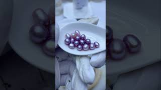 Discover the Unique Beauty of Purple Freshwater Akoya Pearls  High Luster amp Elegance [upl. by Kalvin]