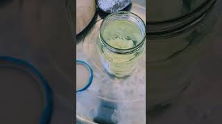 Naphthalene mothballs in petrol asmr mothballs petrol [upl. by Brodench]