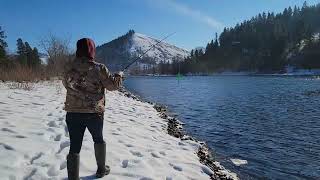 Steelhead Fishing On The Clearwater River [upl. by Nomi]