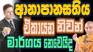 සිත පිරීසිදු කර මග විවර කරගැනීම සඳහා ආනාපානසති භාවනාව ඒකායන මාර්ගයද Ven Bandarawela Wangeesa [upl. by Iolande103]