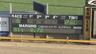 Gawler30082024Race6 [upl. by Aydidey]