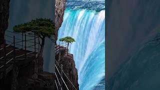 Waterfall relaxing statuswaterfall song status  500subs status waterfall shorts youtube [upl. by Carma]