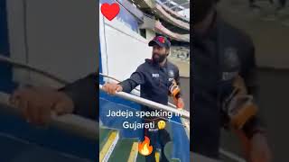 jadeja speaking in gujarati  jadeja status  jadeja is gujarati  🔥😎😈👑🦁 [upl. by Htide]