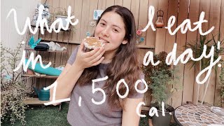 What I Eat in a Day  Calorie Deficit 1500 Cal [upl. by Ogaitnas178]