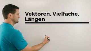 Vektoren Vielfache Längen Vektorgeometrie  Mathe by Daniel Jung [upl. by Ree]