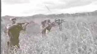 Vietnam 2 GREEN BERETS 1960 Training amp Memoirs Montagnards [upl. by Kcirre511]