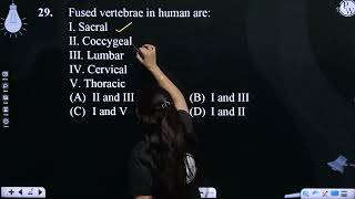 Fused vertebrae in human are I Sacral II Coccygeal III Lumbar [upl. by Aborn]