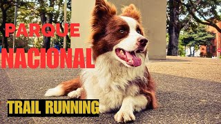 🐕 BORDER COLLIE en el Parque Nacional de Bogotá  Trail running 🏃🏽 Lolo Territory  4K [upl. by Asim93]