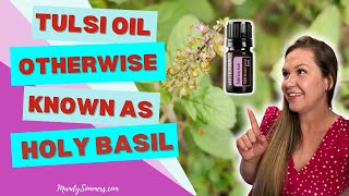 Tulsi Oil Otherwise Known as Holy Basil Essential Oil [upl. by Ettenwad]