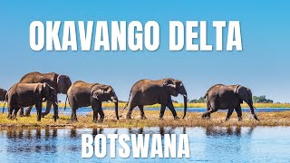 Okavango Delta Africa’s Hidden Oasis of Life and Wonder [upl. by Ddet]