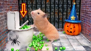 🎃Hamster Escapes Halloween Maze🎃 [upl. by Ariad99]