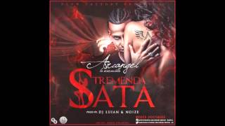 Arcangel  Tremenda Sata Prod By Dj Luian y Noize REGGAETON 2014 [upl. by Serena]