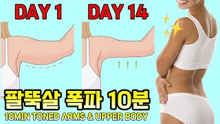 출렁이는 팔뚝살❗빨리 빼려면 한달만 이 루틴 해보세요💪 이것만 매일 해도 굽은어깨와 등 라인이 달라져요 상체 근력 순환 운동 Tone your upper body amp arms [upl. by Jazmin]