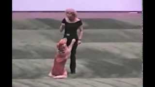 Dog and owner perform a cute Grease dance routine VIDEO [upl. by Aileme]