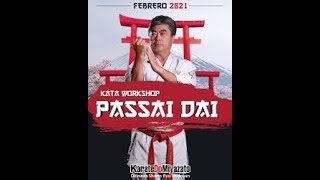 Kata Workshop Matsumura no Passai [upl. by Irem]