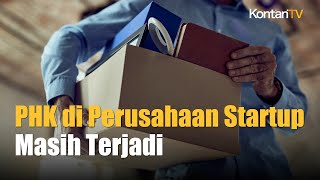 Menyedihkan PHK di Perusahan Startup Belum Berhenti  Kontan News [upl. by Anaujait]