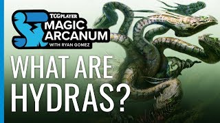 What are Hydras  Magic Arcanum [upl. by Eanej]