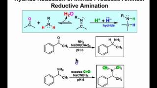 Reductive Amination Mechanism amp Examples [upl. by Maureen]