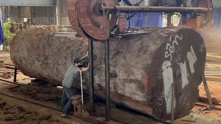 Amazing Woodworking Factory  Extreme Wood Cutting Sawmill Machines Cheesy Wood Giant 1000 Year Old [upl. by Olympium]