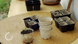 DIY recycled paper seedling pots [upl. by Acimehs]