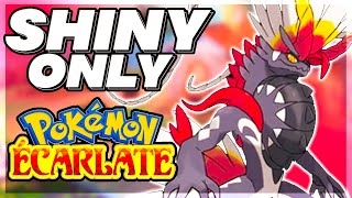 FINIR Pokémon Ecarlate UNIQUEMENT Avec des SHINY [upl. by Rosa]