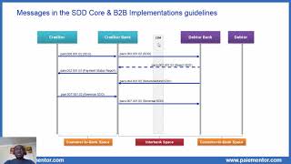 SDD Core and B2B  Overview of the messages exchanged in the Schemes [upl. by Evonne]