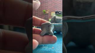 ✨DIY 🌶️ Mini Molcajete ✨miniature diy molcajete miniaturas dollhouse [upl. by Waylon]