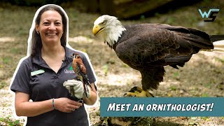 Ornithologist Bird Scientist  WunderSTEM Ep 102  Career Exploration [upl. by Mccormick323]