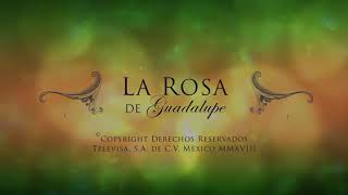 La rosa de Guadalupe 《Palabras que matan 》parte1 [upl. by Maurice478]