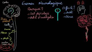 Examen neurologique  Introduction  Docteur Synapse [upl. by Inahteb]